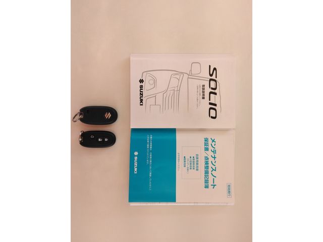 SUZUKI SOLIO 2016 Image 31