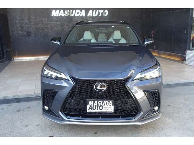 TOYOTA LEXUS NX450H+ AWD 2023 Image 31