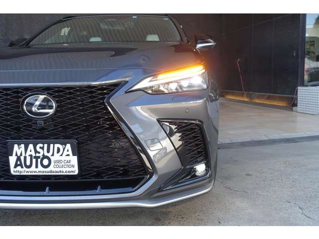TOYOTA LEXUS NX450H+ AWD 2023 Image 31
