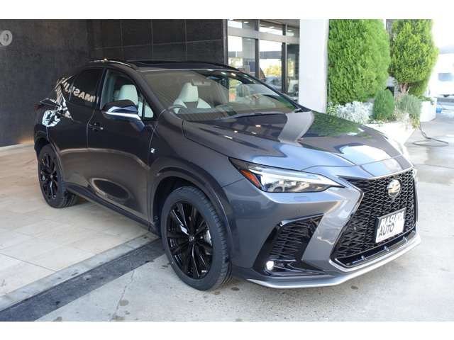 TOYOTA LEXUS NX450H+ AWD 2023 Image 31
