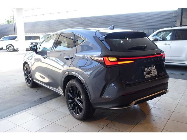 TOYOTA LEXUS NX450H+ AWD 2023 Image 31