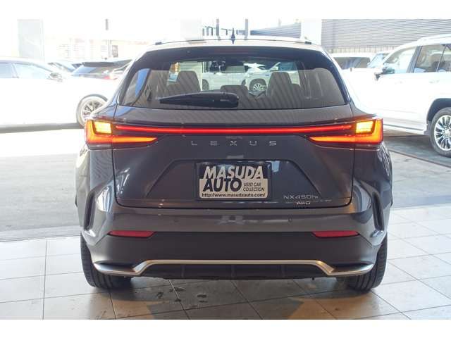 TOYOTA LEXUS NX450H+ AWD 2023 Image 31