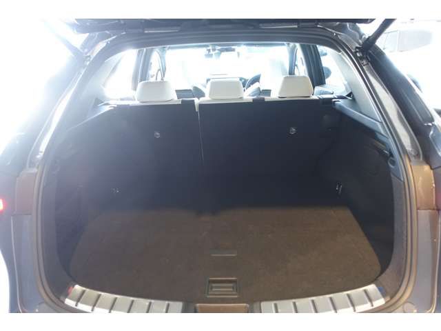 TOYOTA LEXUS NX450H+ AWD 2023 Image 31