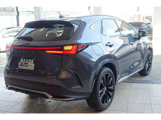 TOYOTA LEXUS NX450H+ AWD 2023 Image 31