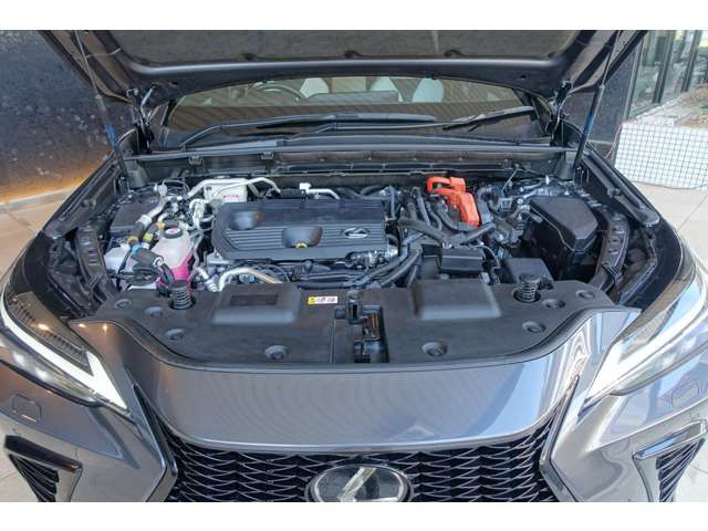 TOYOTA LEXUS NX450H+ AWD 2023 Image 31