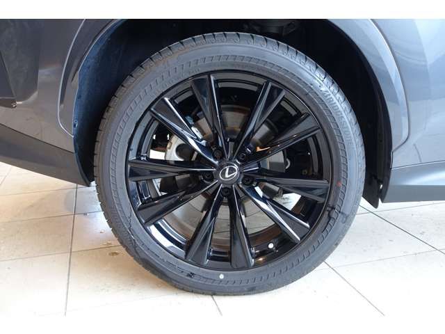 TOYOTA LEXUS NX450H+ AWD 2023 Image 31