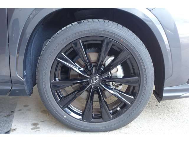 TOYOTA LEXUS NX450H+ AWD 2023 Image 31