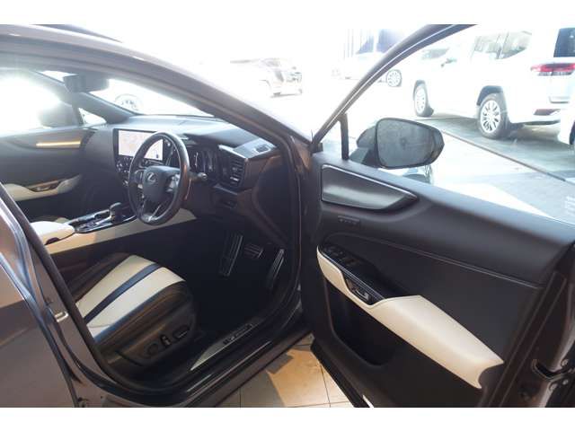 TOYOTA LEXUS NX450H+ AWD 2023 Image 31