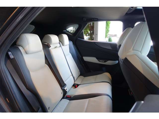 TOYOTA LEXUS NX450H+ AWD 2023 Image 31