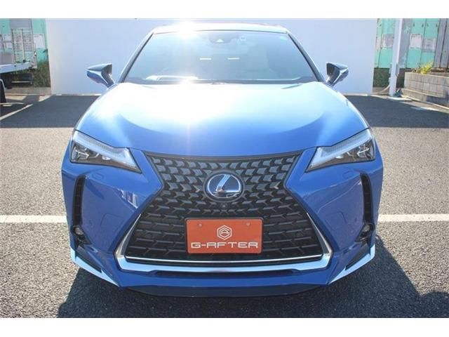 TOYOTA LEXUS UX250H 2019 Image 31