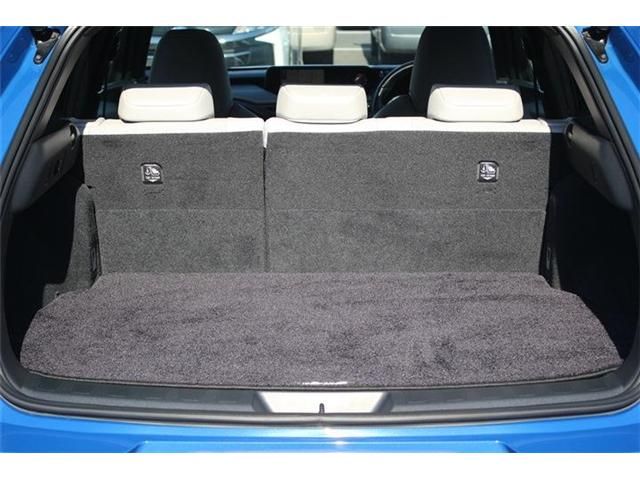 TOYOTA LEXUS UX250H 2019 Image 31