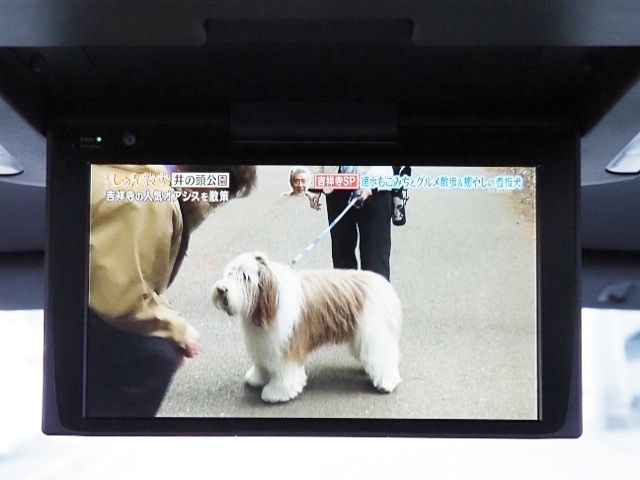 TOYOTA ALPHARD HYBRID 4WD 2023 Image 31