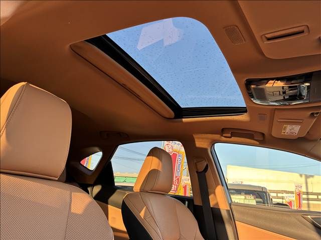 TOYOTA LEXUS NX350H 2023 Image 31