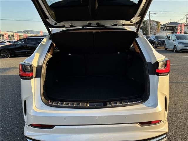 TOYOTA LEXUS NX350H 2023 Image 31