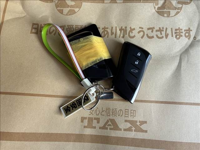 TOYOTA LEXUS NX350H 2023 Image 31