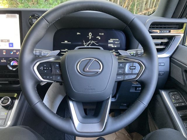 TOYOTA LEXUS GX550 2025 Image 31