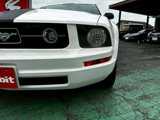 FORD MUSTANG 2008 Image 31