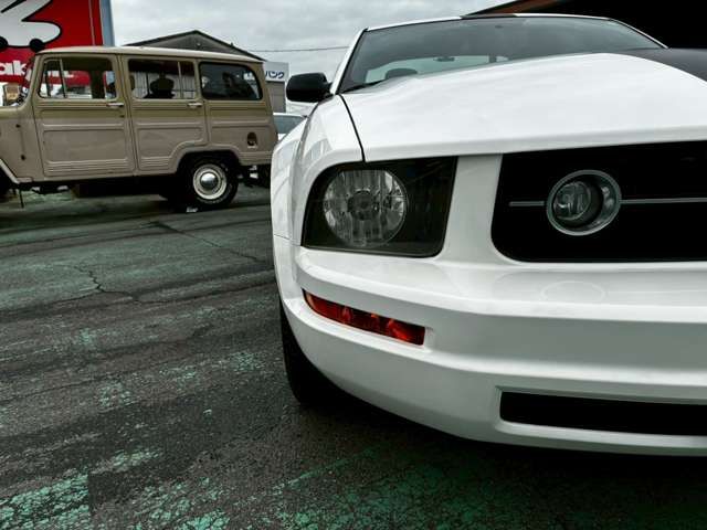FORD MUSTANG 2008 Image 31