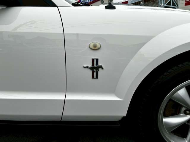 FORD MUSTANG 2008 Image 31