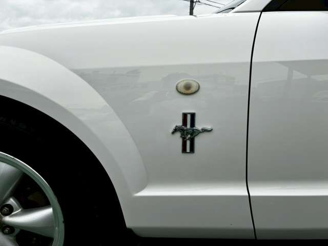 FORD MUSTANG 2008 Image 31