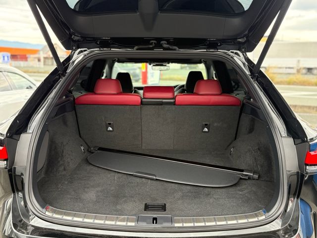 TOYOTA LEXUS RX500H 2023 Image 31