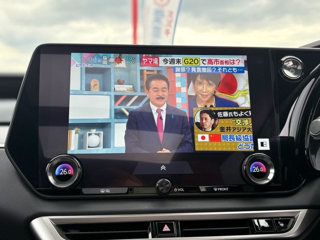 TOYOTA LEXUS RX500H 2023 Image 31