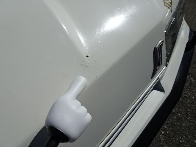 NISSAN SKYLINE COUPE 1984 Image 31