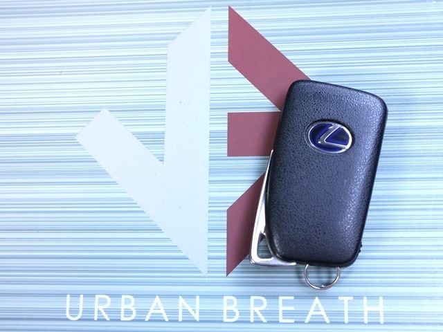 TOYOTA LEXUS IS300H 2013 Image 31