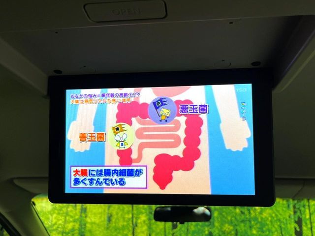 NISSAN ELGRAND 2016 Image 31