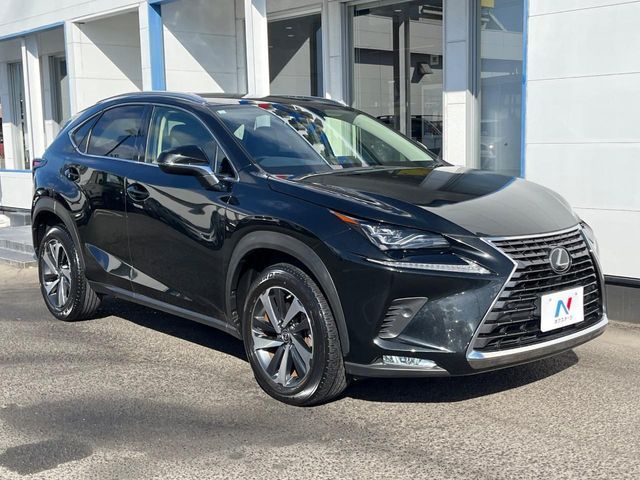TOYOTA LEXUS NX300 2019 Image 31