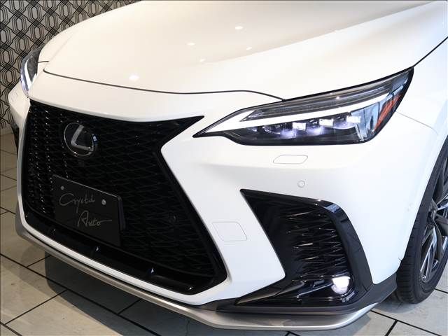 TOYOTA LEXUS NX350H 2022 Image 31