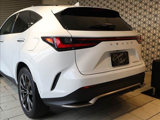 TOYOTA LEXUS NX350H 2022 Image 31