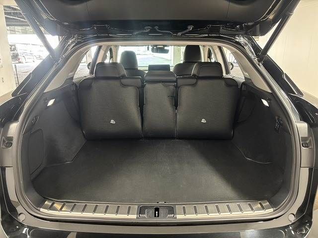 TOYOTA LEXUS RX450H AWD 2020 Image 31