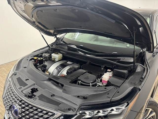 TOYOTA LEXUS RX450H AWD 2020 Image 31