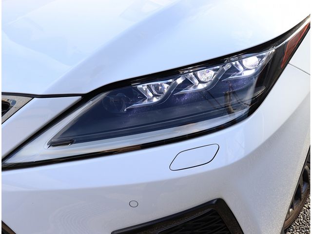 TOYOTA LEXUS RX300 2020 Image 31