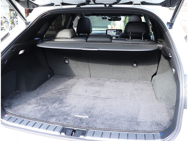 TOYOTA LEXUS RX300 2020 Image 31