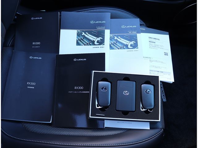 TOYOTA LEXUS RX300 2020 Image 31