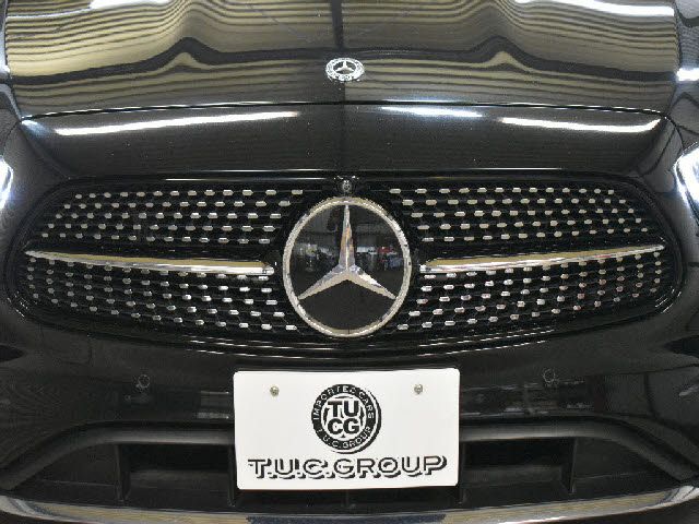 MERCEDES BENZ E CLAS 2020 Image 31