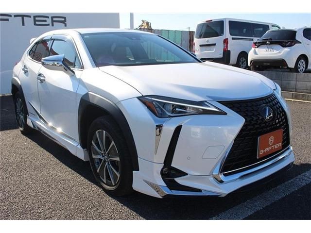 TOYOTA LEXUS UX300E 2021 Image 31