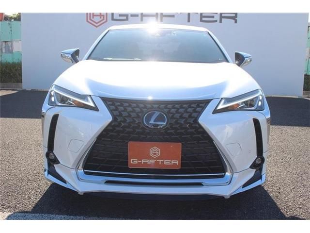 TOYOTA LEXUS UX300E 2021 Image 31