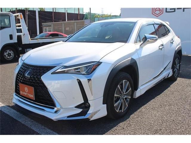TOYOTA LEXUS UX300E 2021 Image 31