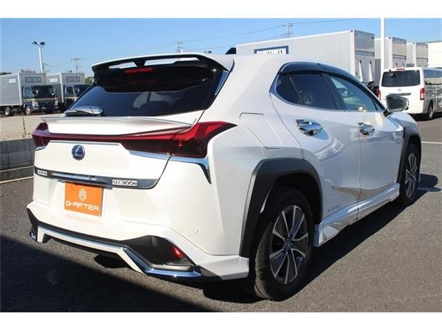 TOYOTA LEXUS UX300E 2021 Image 31