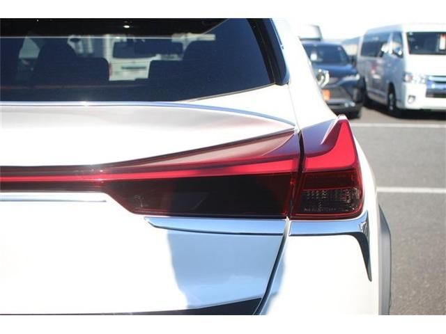 TOYOTA LEXUS UX300E 2021 Image 31