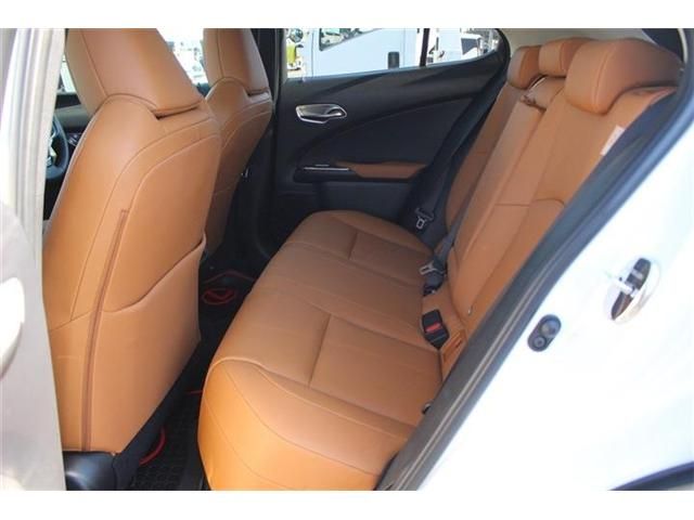 TOYOTA LEXUS UX300E 2021 Image 31