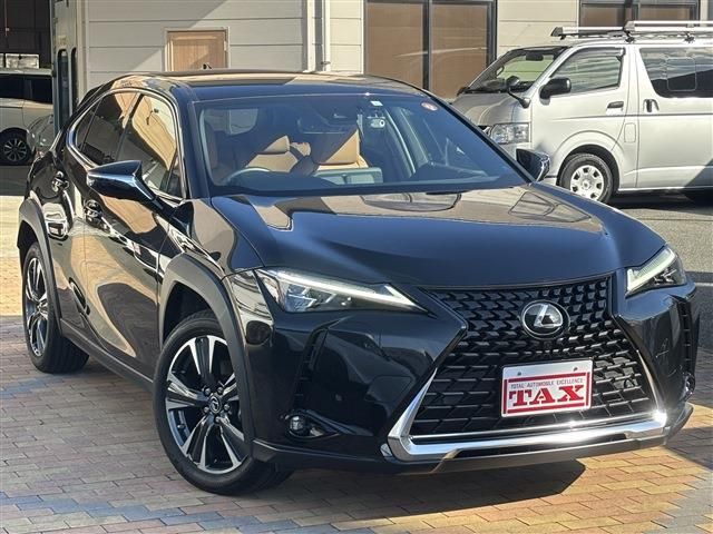 TOYOTA LEXUS UX250H 2023 Image 31