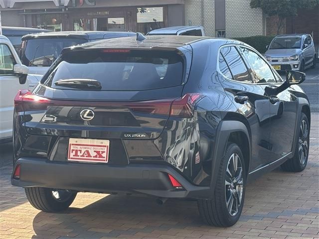 TOYOTA LEXUS UX250H 2023 Image 31