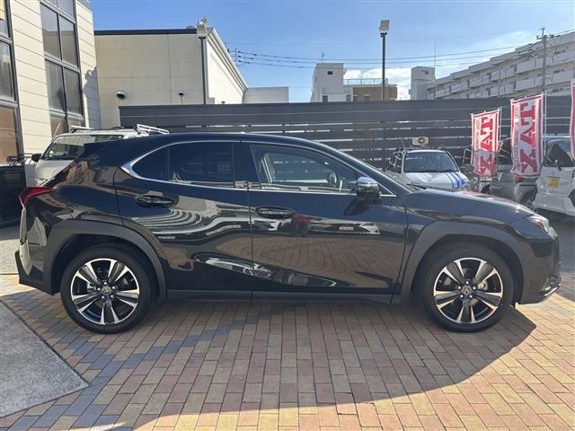 TOYOTA LEXUS UX250H 2023 Image 31