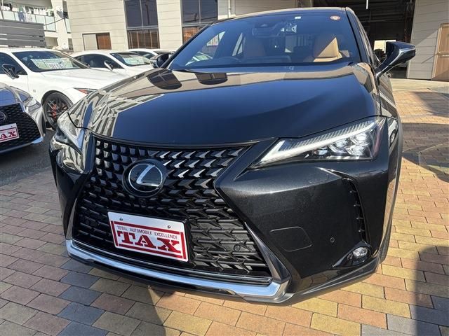 TOYOTA LEXUS UX250H 2023 Image 31