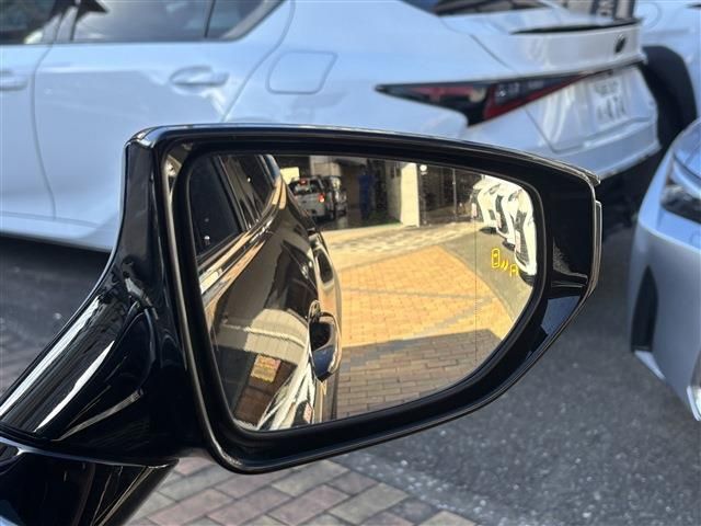 TOYOTA LEXUS UX250H 2023 Image 31