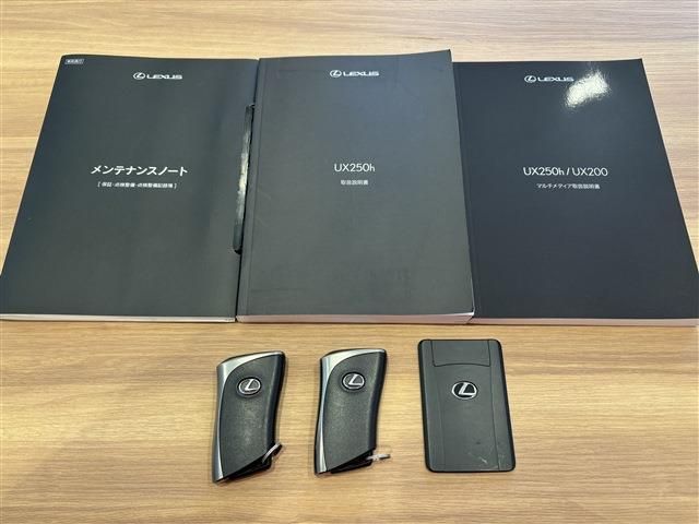 TOYOTA LEXUS UX250H 2023 Image 31
